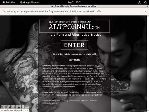 Altporn4u Real Accounts
