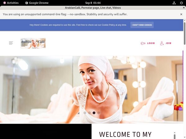 ArabianCalli Free Code