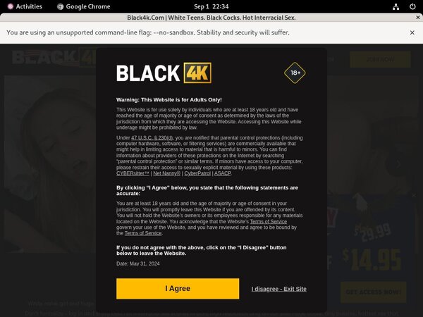 Black 4k Working Accounts