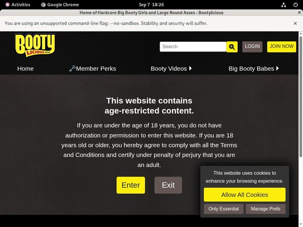 Bootylicious Mag Xxx Movies