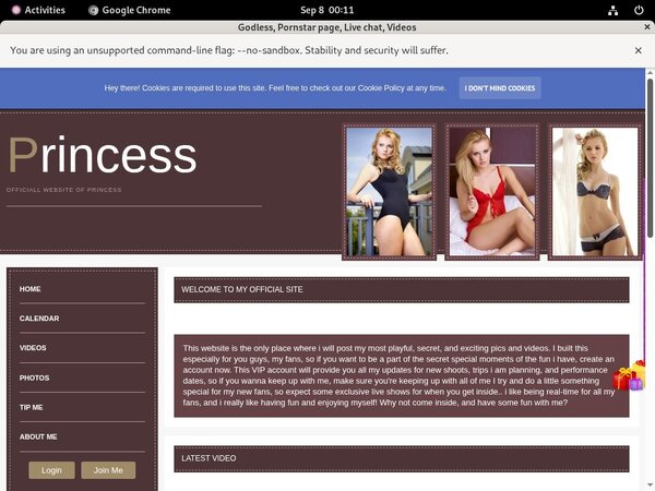 Cardboard.modelcentro.com Premium Login