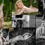 Coupon Subspace Land Coupon Subspace Land