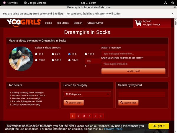 Dreamgirls In Socks ??? ???