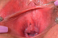 Gape My Pussy Discount Trial s3