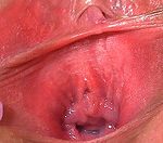 Gapemypussy.com Paypal Account