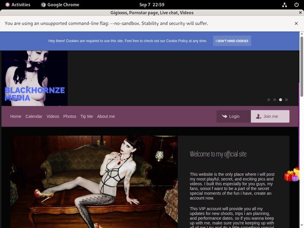 Gigixxxs.modelcentro.com With Online Check