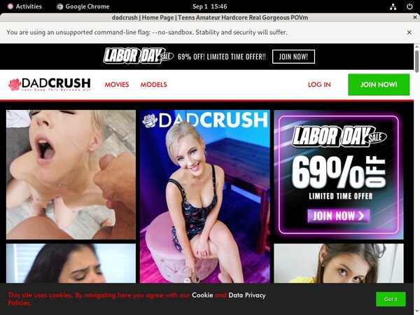 How Much Does Dad Crush Cost
