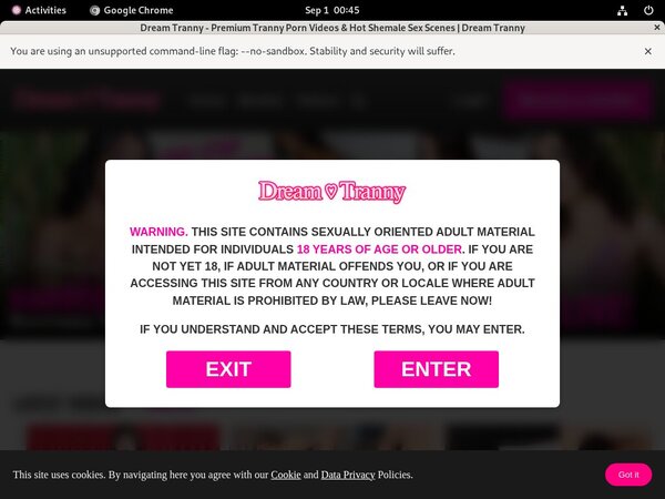 How Much Does Dreamtranny Cost