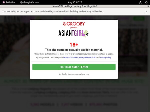 Ladyboy Ladyboy Wnu Discount