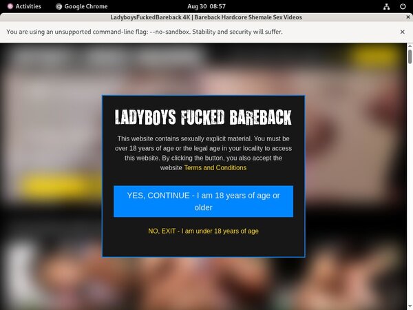 Ladyboys Fucked Bareback Paypal Discount
