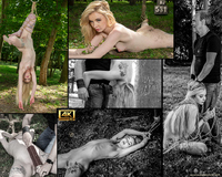 Land Subspace Trial Membership s1 Land Subspace Trial Membership s1