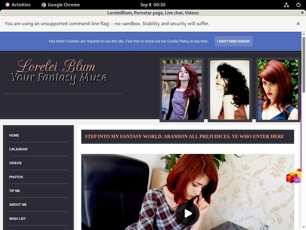 LoreleiBlum Account Blog