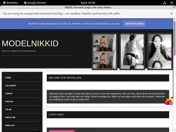 Modelnikki.modelcentro.com Login And Password