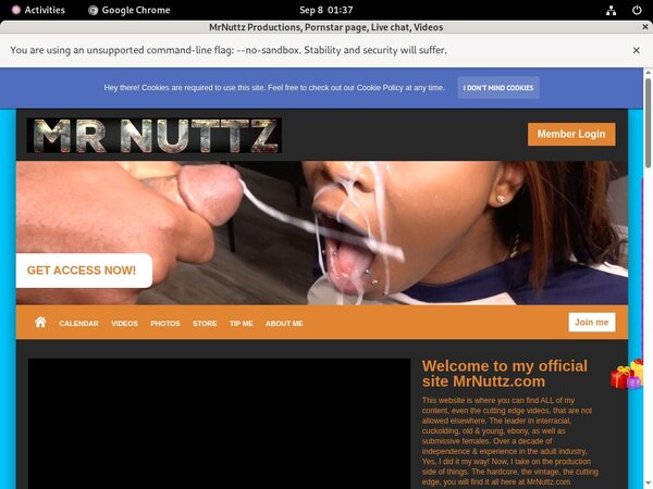 Mrnuttzproductions.modelcentro.com Image
