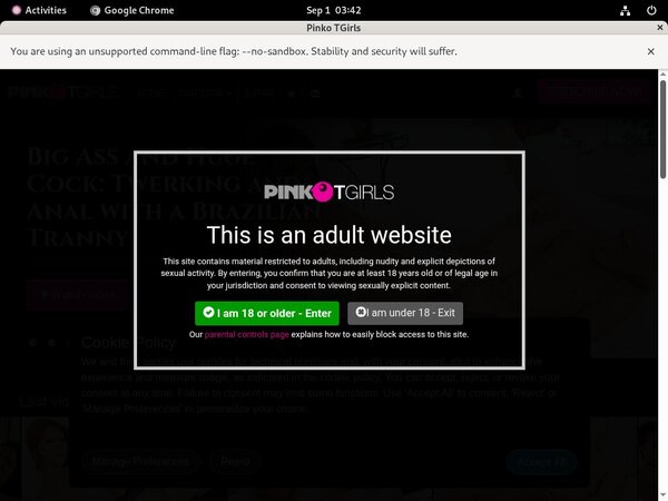 New PinkO TGirls Site Rip