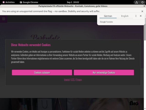 Parkplatzluder19 Free Login Password