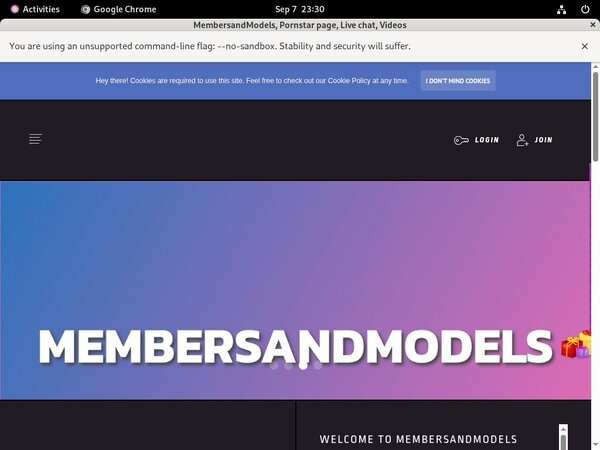Passwords MembersandModels