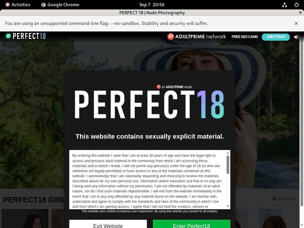 Premium Account For Perfect 18
