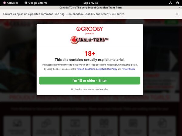 Premium Canadatgirl Site Rip