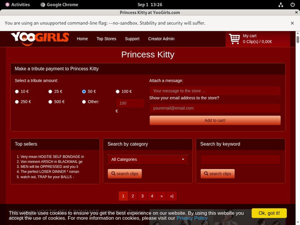 Princess Kitty Blogspot