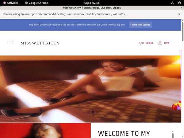 Sexy MissWettKitty