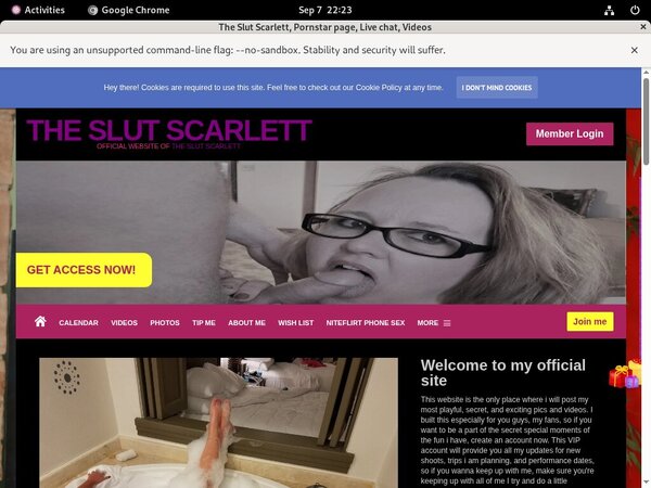 The Slut Scarlett Sign