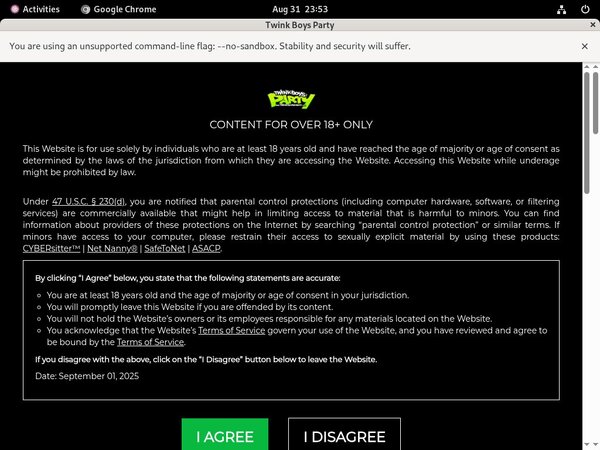 Twink Boys Party Site Rip Url
