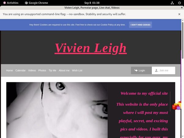 Vivienleighandme.modelcentro.com Premium Pass