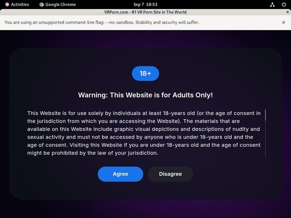 ?sex VR Porn