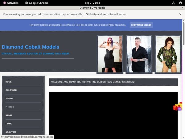 Membership Discount Diamonddivamodels.com