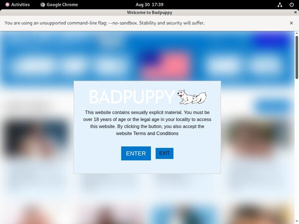 Badpuppy.com Accounts Free