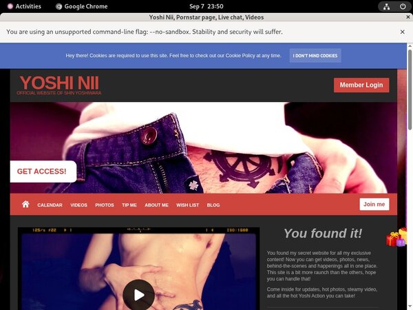 Yoshi Nii Site Review Yoshi Nii Site Review